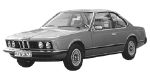 BMW E24 C252C Fault Code