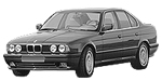 BMW E34 C252C Fault Code